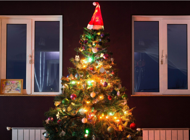 Buying a Christmas Ornament from Iceland's King Tree Can Enhance Your Northern Lights Adventure